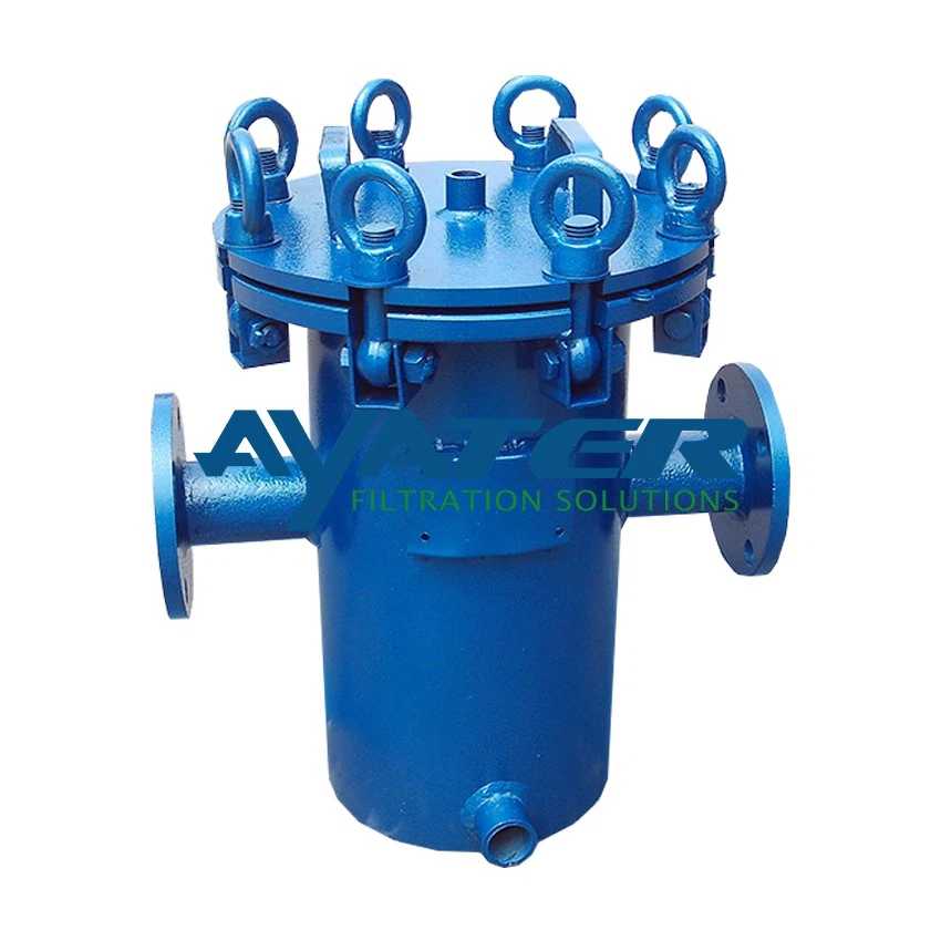 Carbon Steel Basket Strainer